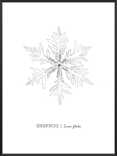 Snowflakes - Poster