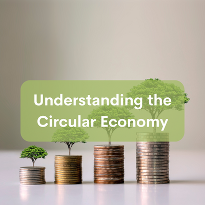 Understanding the Circular Economy: A Sustainable Shift in Economic Paradigm