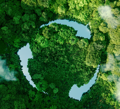 The 5 C's of Sustainability: Charting a Sustainable Future