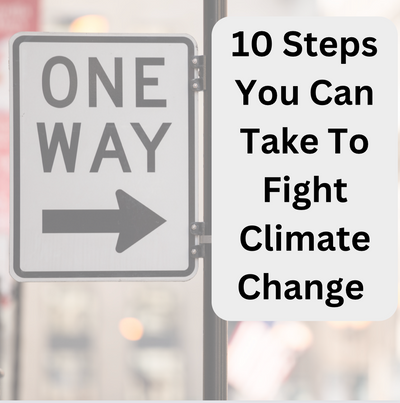 10 Simple Actions You Can Take to Fight Climate Change Today
