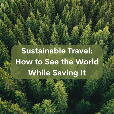 Sustainable Travel: How to Travel the World While Saving It