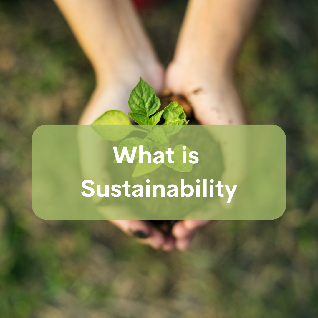 What is sustainability: Unraveling the True Essence of Sustainability ...