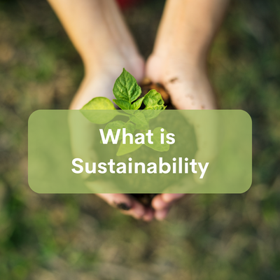 What is sustainability: Unraveling the True Essence of Sustainability