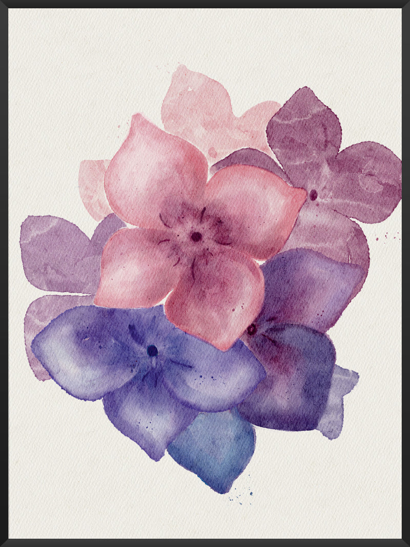 Purple Hydrangea - Poster