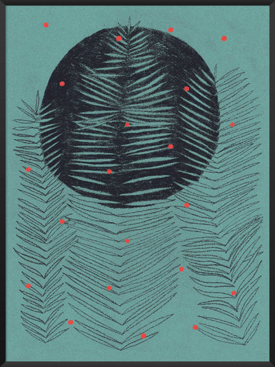 Ferns - Poster