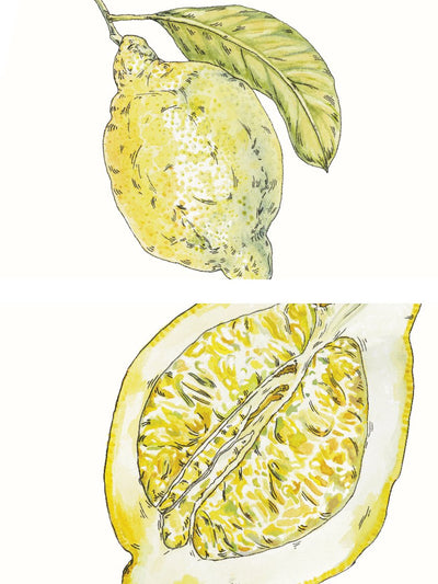 Hand Painted Vintage Lemon - Poster
