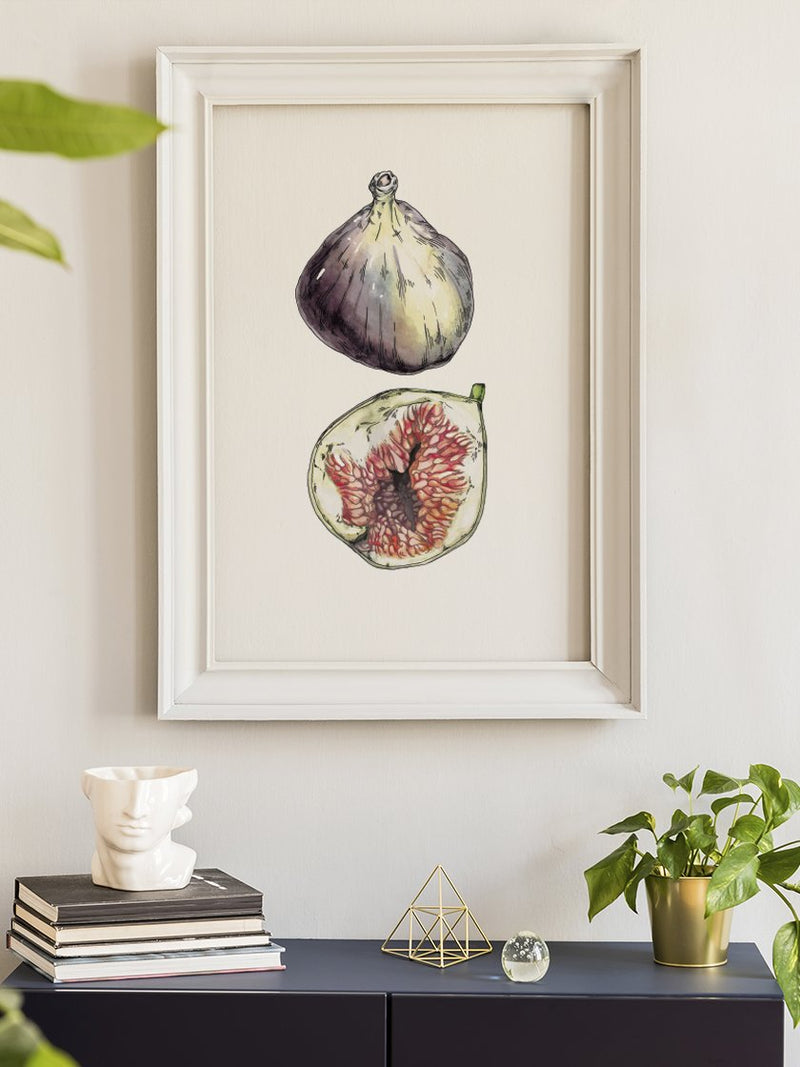 Figs - Hand-Painted Vintage Botanical Poster