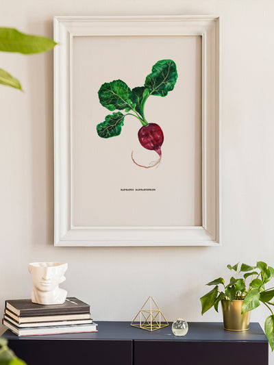 project-nord-vintage-botanical-radish-poster-in-interior-hallway